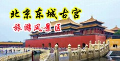 啊啊啊好爽啊好舒服啊啊啊啊.在线免费观看中国北京-东城古宫旅游风景区